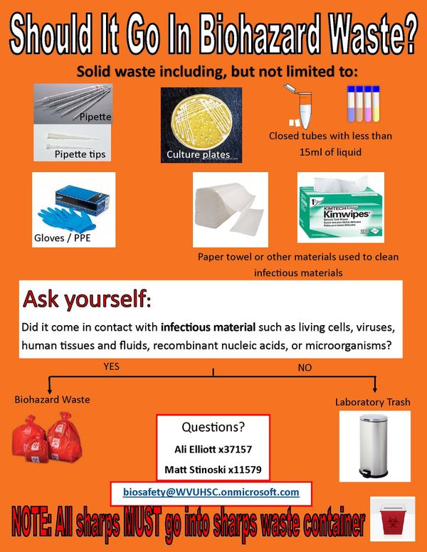 Flyer to help determine if something should go in a biohazard waste container